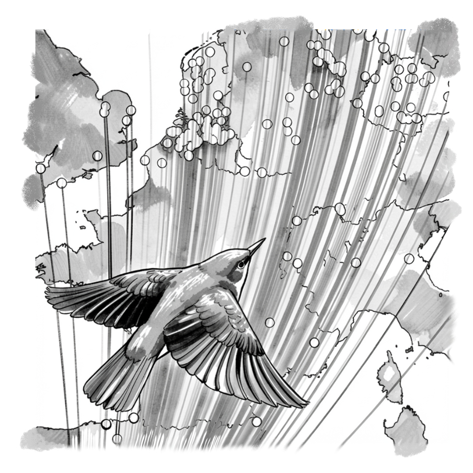 a bird in flight over earth