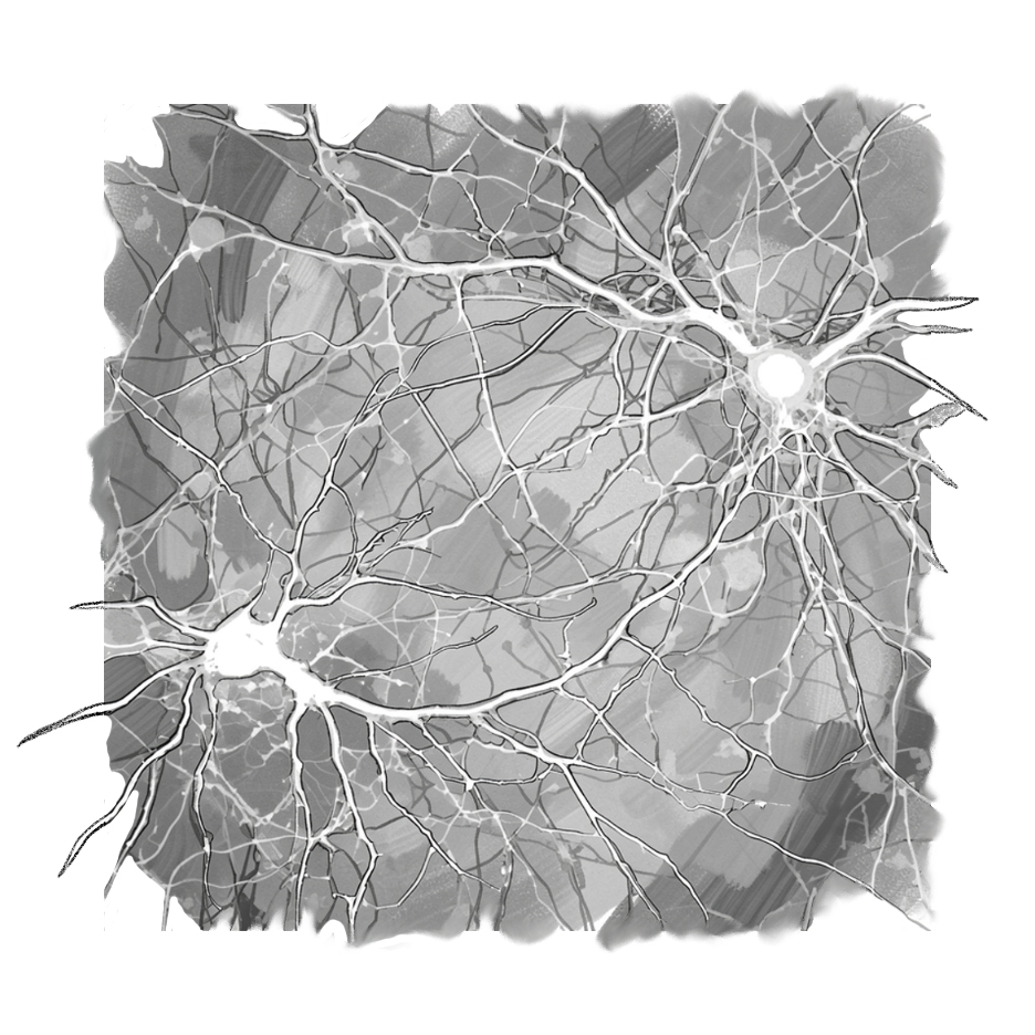 neuron